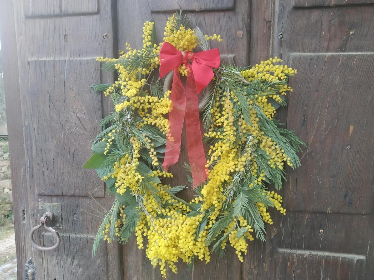 Puebla Del Brollon Apartamento Felicitas En La Casa De Cobos, Ribeira Sacra מראה חיצוני תמונה