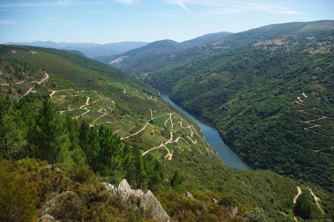 Puebla Del Brollon Apartamento Felicitas En La Casa De Cobos, Ribeira Sacra מראה חיצוני תמונה