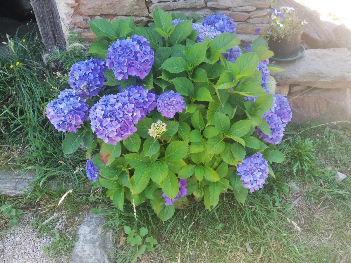 Puebla Del Brollon Apartamento Felicitas En La Casa De Cobos, Ribeira Sacra מראה חיצוני תמונה